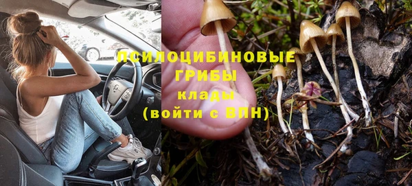 мяу мяу мука Дмитров