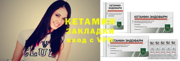 мяу мяу мука Дмитров
