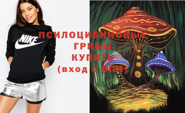 круглые Ельня