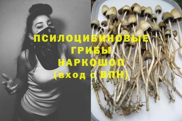 ешки Елабуга
