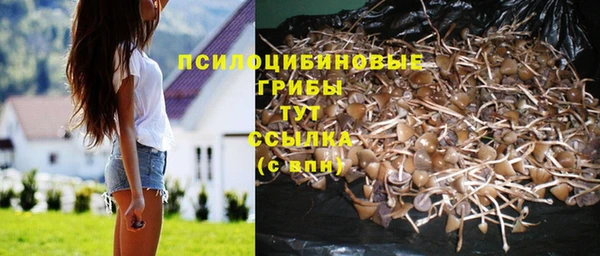 скорость Дмитриев