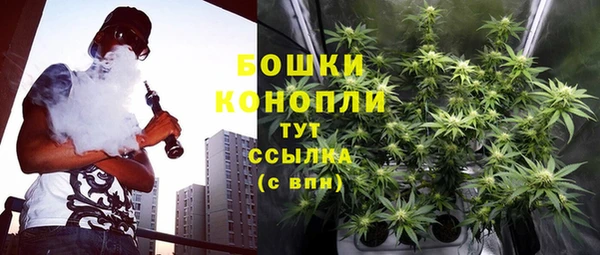 мдпв Дмитровск