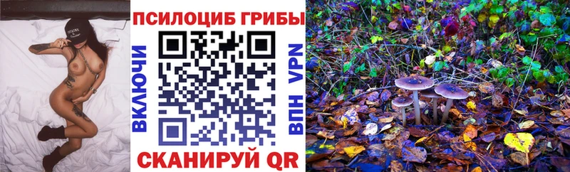 Купить где  Туран  Псилоцибиновые грибы Psilocybine cubensis 